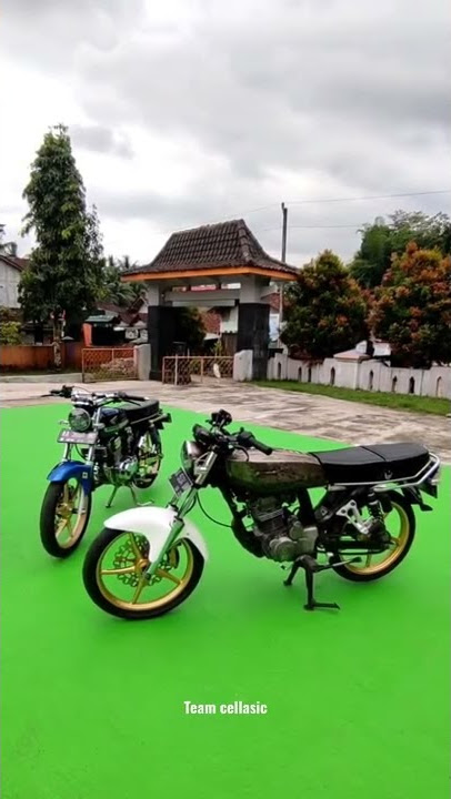 STORY WA CB CELLASIC 😎 #shorts #herex  #shortsfeed