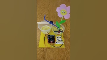 Micro:bit activity - automatic Plant Waterer