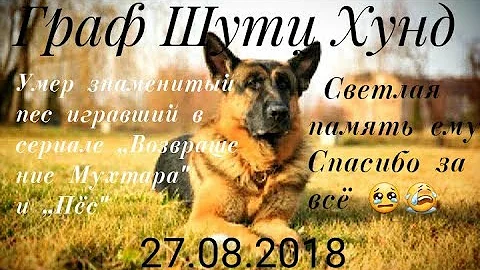 Умер знаменитый пёс Граф Шутц Хунд(27.08.2018)💔😭