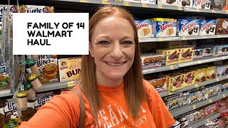 FAMILY OF 14 WALMART HAUL