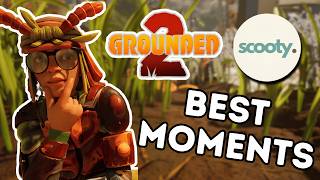 SCOOTY'S BEST GROUNDED 2 MOMENTS (Funny, Random, Jumpscares, Various Ladybug Interactions)
