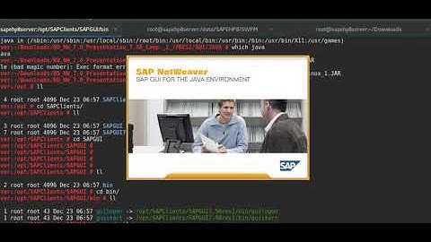 How to Install SAPGUIJAVA