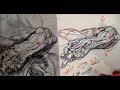 Pen and Ink Drawing Tutorials | Cross-hatching and shading tips from Peter Paul Rubens