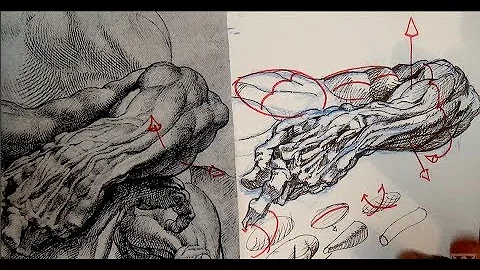 Pen and Ink Drawing Tutorials | Cross-hatching and shading tips from Peter Paul Rubens