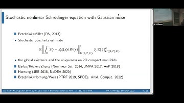 FD2W02 | Prof. Zdzislaw Brzezniak | The stochastic Strichartz estimates