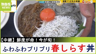 ふんわりプリプリ旬の春しらす丼！鮮度にこだわり手作業で釜揚げ【川地洋平のご当地！０円丼マン】【現場から生中継】（2024年4月5日）