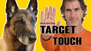 TOUCH TARGET Command  Online Dog Training Video