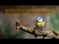 Abenteuer Naturfotografie / Vogelfotografie vom Hüttendach aus