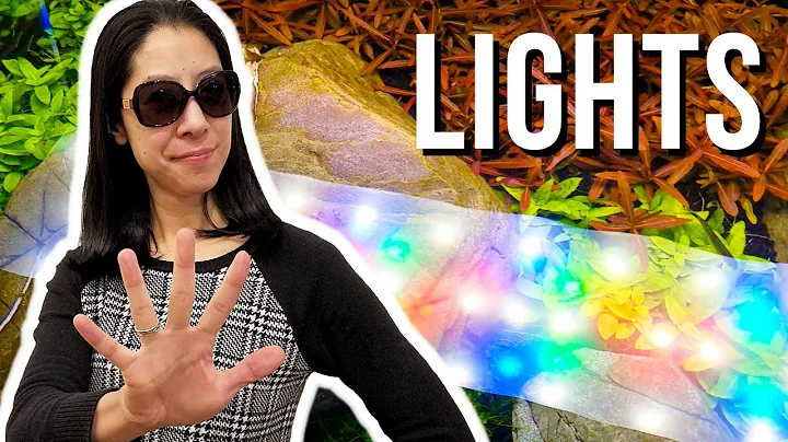 5 Things I Wish I Knew About Planted Aquarium Lighting