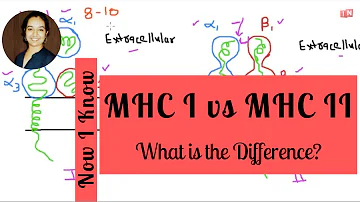 Quais células expressam o MHC de classe II?