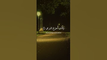 ﴿ سبَّح اسمَ رَبِك الأَعلَى ﴾ سوره الاعلى، عبدالرحمن مسعد #ارح_قلبك #قرآن_كريم #قرآن