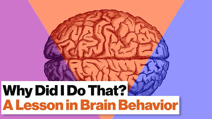 3 Brain Systems That Control Your Behavior: Reptilian, Limbic, Neo Cortex | Robert Sapolsky