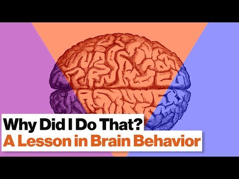 Video: Scientists From The United States Have Stated That A Person Has Three Brains - Alternative View