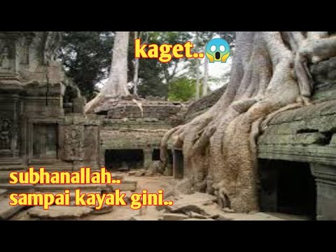 Video: Angkor Wat Kuno Tumbuh Dalam Semalam - - Pandangan Alternatif