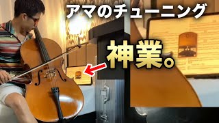 検証】アマチュアチェリストのチューニングはどれくらい正確な