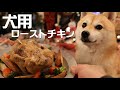 犬用丸鶏のプレミアムローストチキンが絶品だった！！