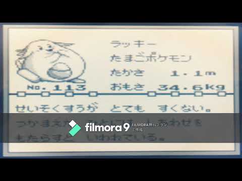 図鑑no113 ラッキー 鳴き声 Youtube