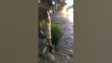 Unclogging Culvert Drain Rain Water #drain #remove #satisfying #youtubeshorts