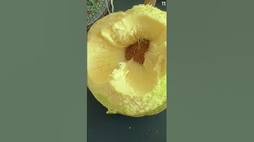 Cara mudah mengambil daging buah sukun sangat memuaskan dengan alat sederhana #shorts