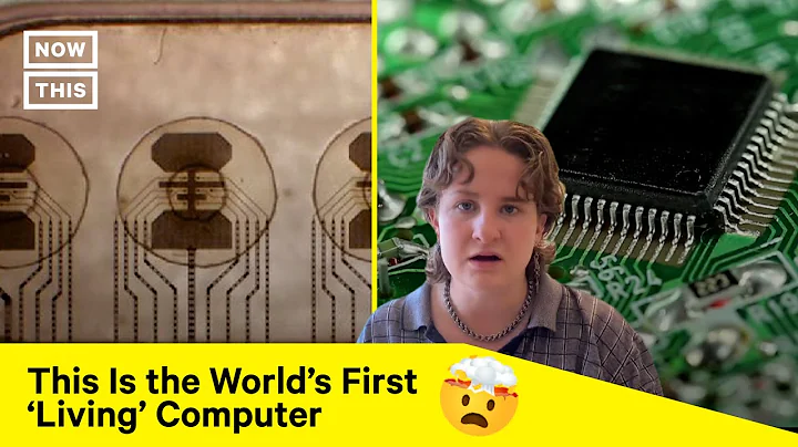 World's First Bioprocessor Uses Real Brains and Less Power