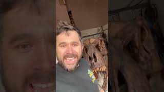 Dinosaur Skull Purchase Gone Wrong.