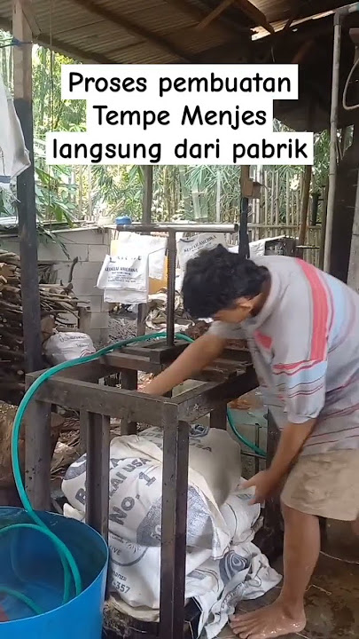 How to make tempeh menjes straight from the factory #food