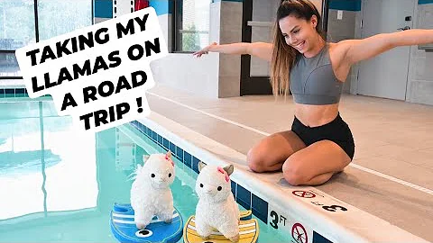 TAKING MY LLAMAS ON A SPONTANEOUS ROAD TRIP !! *in...