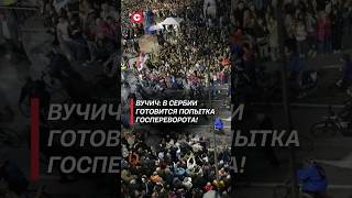 Вучич: В Сербии готовится попытка госпереворота! #протесты #сербия #политика #вучич #новости #чп