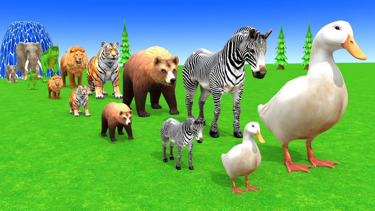 Long Slide Game With Cow Elephant Gorilla Hippopotamus Tiger 3d Animal Game Funny 3d AnimalsVideo