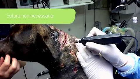 Cosa si intende per ferita lacero contusa?