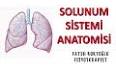 Akciğer Anatomisi ve Solunum ile ilgili video