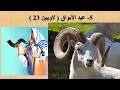 أعياد اليهود بني أسرائيل 5 عيد الأبواق هتاف البوق 