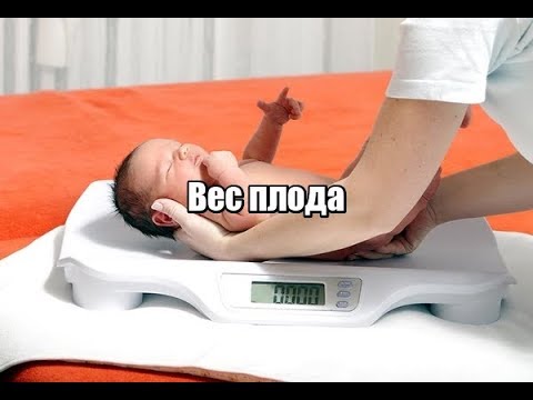 Вес плода. Определение массы плода на УЗИ