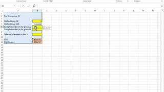 calculating LSD in Excel
