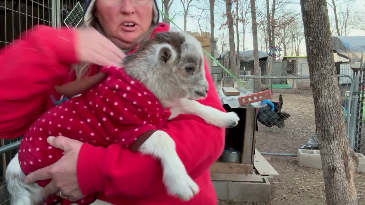 PJs on all tucked in ￼