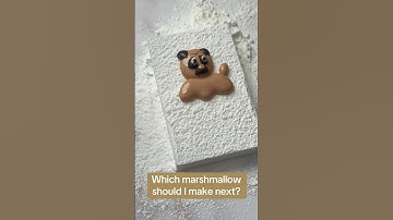 Which marshmallow should I make next? #marshmallow #diy