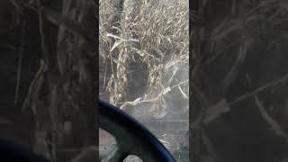 Running some more corn off the rye field. by dave halser 40 views 5 years ago 1 minute, 18 seconds