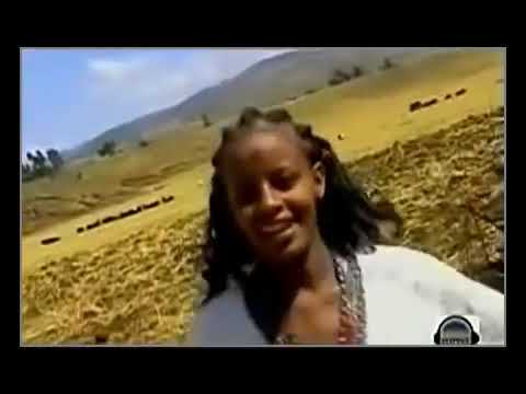 Ethiopia Manalemosh Dibo Minjar