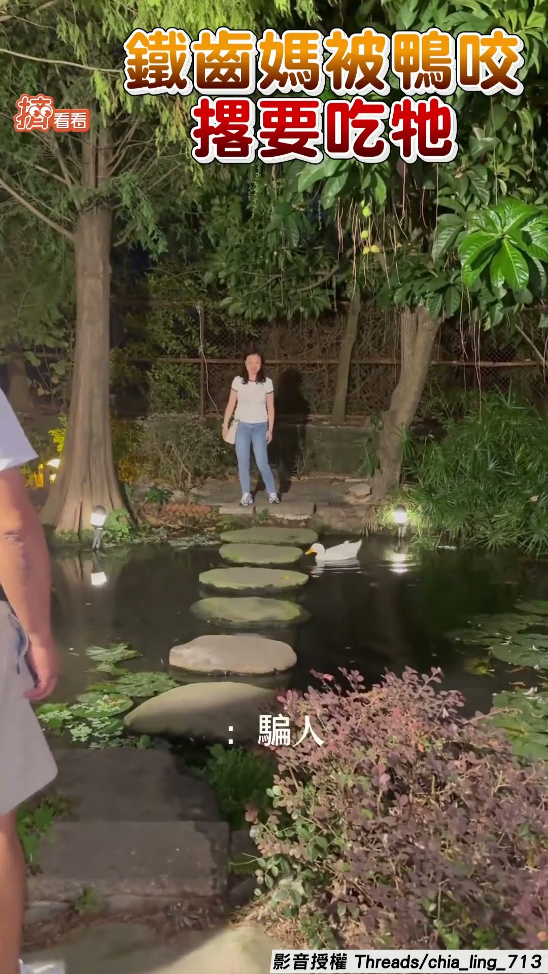 鐵齒媽被鴨咬尖叫逃老公女兒看好戲笑翻! 無視警告糗踢鐵板撂今晚吃鴨｜TVBS新聞@TVBSNEWS01