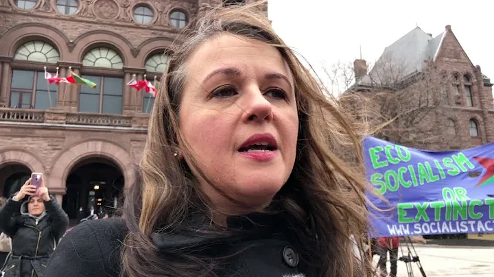 Interview with Julie Dzerowicz, MP for Davenport