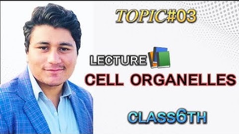 SCIENCE CLASS 6TH IN URDU | HINDI | CHAPTER#1 | LEC#3 | kpk textbook