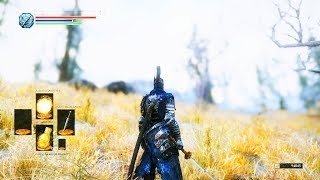 SKYRIM: DARK SOULS UI & HOW TO INSTALL