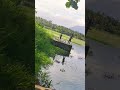 periakulam fishing 🎣