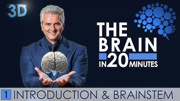 3D - The Brain in 20 minutes - 01 │ Introduction & Brainstem │ Dr. Dr. Damir del Monte │ Encephalon