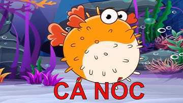 Hình ảnh Động Vật Biển| Bé học nói tên các con cá nóc con sứa | Dạy trẻ thông minh sớm