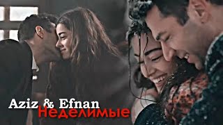 картинка: Aziz & Efnan - Неделимые