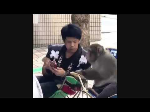 Very Funny Persian Iranian video Persian Iranian Comedy 1 - YouTube