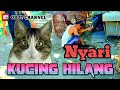 Nyari kucing hilang tanya-tanya sama tetangga