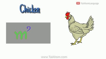 Learn five Tai Ahom words in 50 seconds