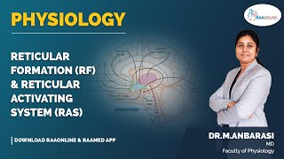 Physiology | Reticular formation (RF) & Reticular activating system (RAS) | Raaonline
